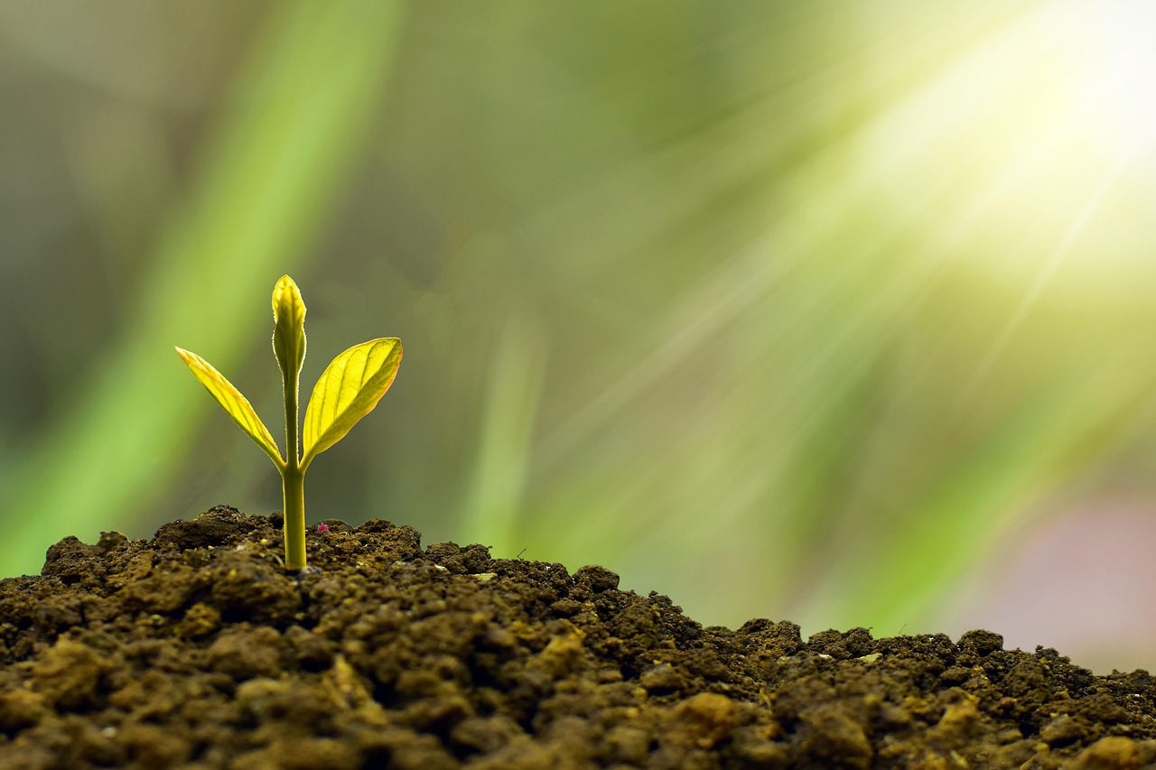 entdecken sie alles rund um investment: tipps, strategien und aktuelle trends für eine erfolgreiche geldanlage. lernen sie, wie sie ihr vermögen gezielt und sicher aufbauen können.