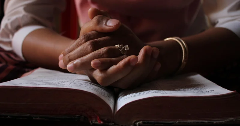 Spirituelle Traumdeutung Schlange: Die Kraft der Wandlung